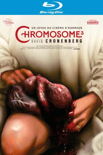 Chromosome 3