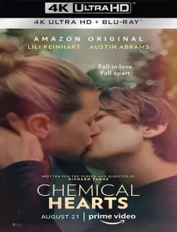 Chemical Hearts - MULTI (FRENCH) WEB-DL 4K
