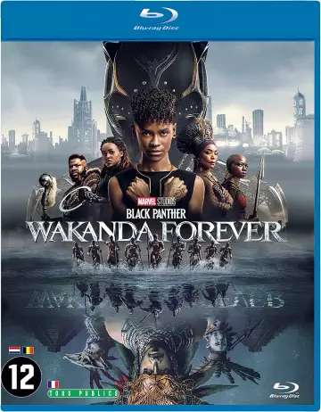 Black Panther : Wakanda Forever - VOSTFR BLU-RAY 1080p