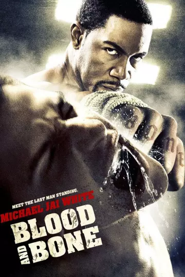 Blood and Bone - MULTI (TRUEFRENCH) HDLIGHT 1080p