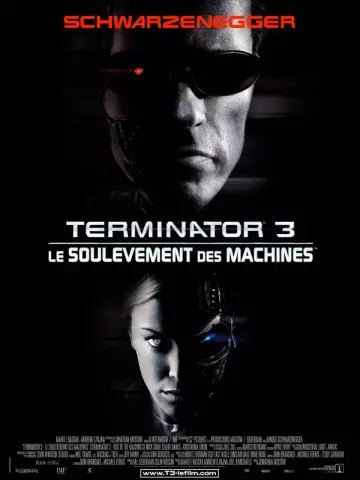 Terminator 3 : le Soulèvement des Machines - MULTI (TRUEFRENCH) HDLIGHT 1080p