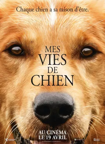 Mes vies de chien - MULTI (FRENCH) HDLIGHT 1080p
