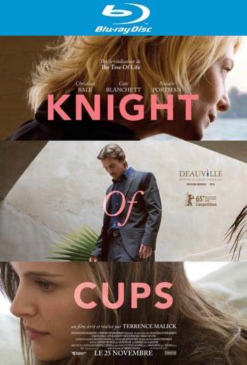 Knight of Cups - MULTI (FRENCH) HDLIGHT 1080p