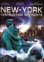 New-York : destruction imminente - FRENCH Dvdrip XviD