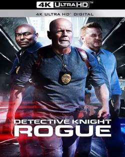 Detective Knight: Rogue - MULTI (FRENCH) WEB-DL 4K