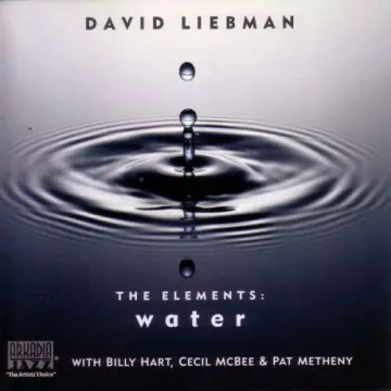 Dave Liebman, Pat Metheny - The Elements: Water